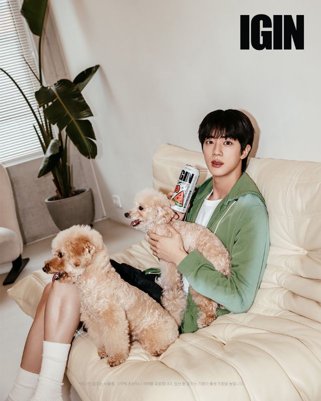 Jin de BTS demuestra su lado más tierno en una nueva foto para IGIN