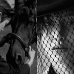 RIIZE desvela elegantes fotos de adelanto para su segundo sencillo "Fame"