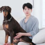 Jungkook de BTS reveló que su perro Bam ha estado muy enfermo: 'Me rompe el corazón'