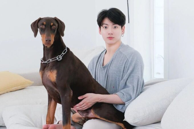 Jungkook de BTS reveló que su perro Bam ha estado muy enfermo: 'Me rompe el corazón'