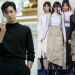 Cha Eunwoo contrata a la firma de abogados que trabajó con NewJeans para manejar sus acusaciones de evasión fiscal