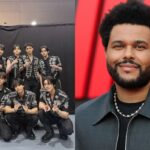 MTV UK sugiere una colaboración entre Stray Kids y The Weeknd