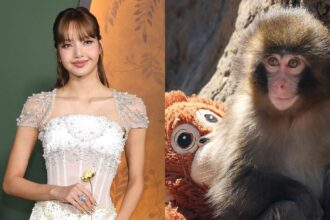 Lisa de BLACKPINK visita al pequeño simio viral Punch