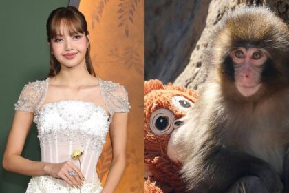 Lisa de BLACKPINK visita al pequeño simio viral Punch