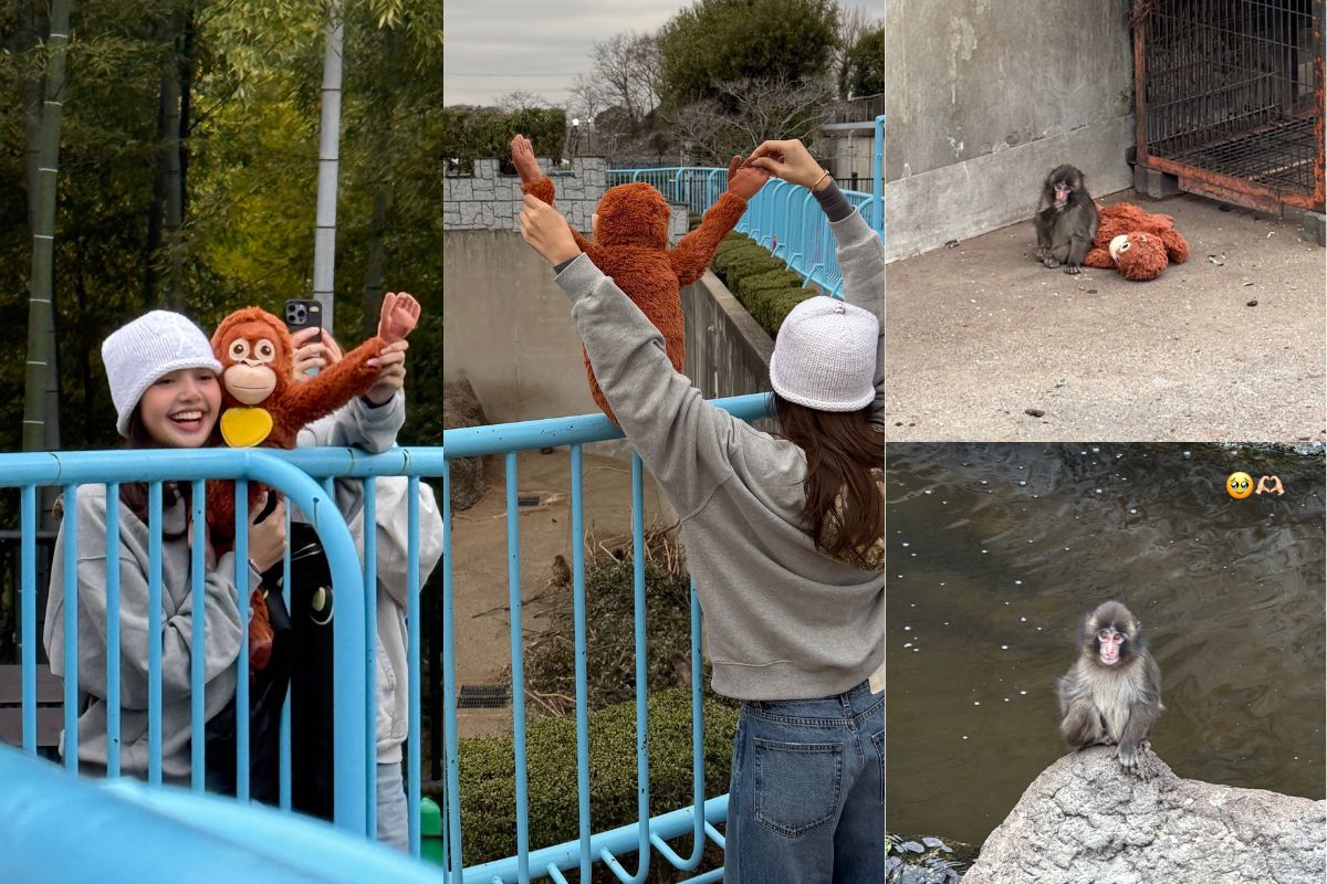 Lisa de BLACKPINK visita al pequeño simio viral Punch