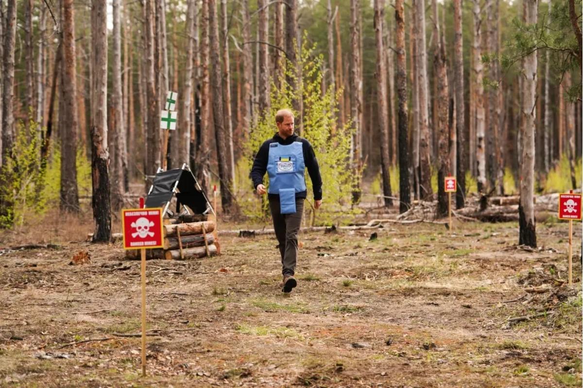 El príncipe Harry responde contundentemente tras ser calificado como "miembro no activo de la realeza"