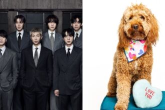 Conoce a Stoney Blue, el perro que alivia el estrés de BTS tras bambalinas en el 'ARIRANG World Tour'