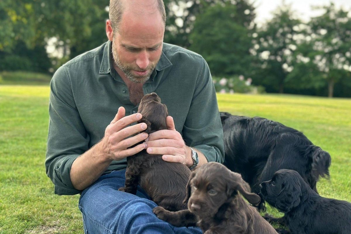 El príncipe William habla sobre el caos que causan los perros de su familia El príncipe William habla sobre el caos que causan los perros de su familia