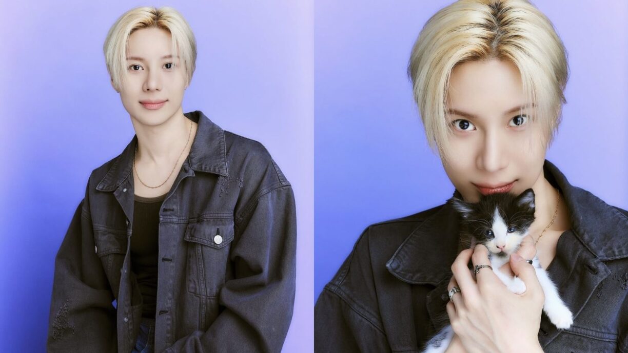 Taemin de SHINee se rinde ante los tiernos gatitos en 'The Kitten Interview'