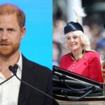 El príncipe Harry compartió un nuevo mensaje mientras la familia real celebraba el Trooping the Colour