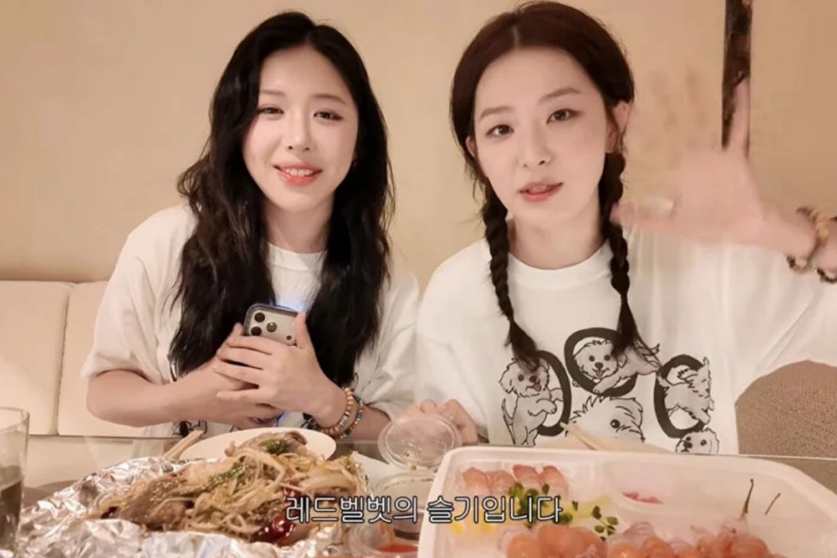 Seulgi de Red Velvet pausa sus actividades en YouTube tras una tragedia familiar Seulgi de Red Velvet pausa sus actividades en YouTube tras una tragedia familiar