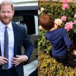 El príncipe Harry revela que el príncipe Archie tiene una obsesión con Lego