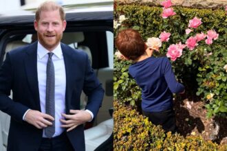 El príncipe Harry revela que el príncipe Archie tiene una obsesión con Lego