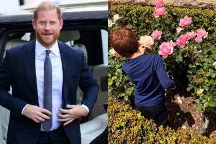 El príncipe Harry revela que el príncipe Archie tiene una obsesión con Lego